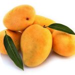 MANGO (HAPUS) MEDIUM